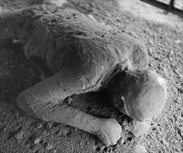 A Pompeiian victim of the eruption of Vesuvius