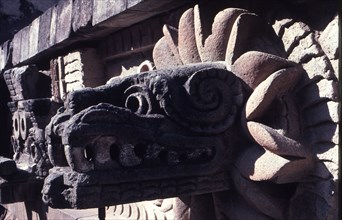 Detail of a coloured Quetzalcoatl carved head, from the pyramid of Quetzalcoatl