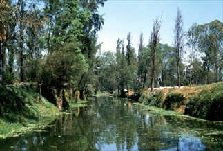 The Aztec canals at the floating gardens of Xochimilco