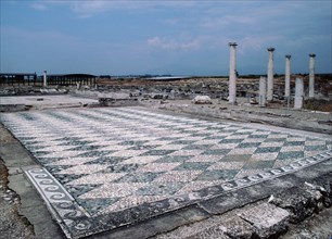 View across a black and white diamond-shaped pebble mosaic floor at Pella, the Macedonian capital, and birthplace of Alexander the Great