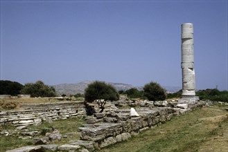 View of the remains of the temple of Hera, "Heraion", built as an Ionic dipteral during the tyranny of Polycrates