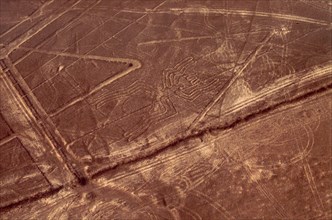 Used for rituals probably related to astronomy the Nazca geoglyphs, covering an area of around 400 square miles, are visible only from the air