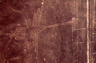 Used for rituals probably related to astronomy, the Nazca geoglyphs covering an area of around 400 square miles, are visible only from the air