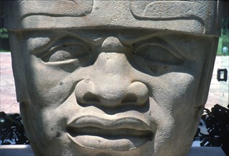 Colossal Olmec head, now at the Jalapa Museum, Veracruz, Mexico