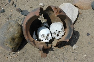 Two artificially deformed skulls in a burial urn from a looted cemetery