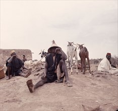 Dogon farmers and their animals   Mali