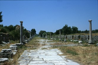View of the road leading from the city of Ephesos to the harbour