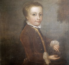 A portrait of Zoffany of Mozart with a bird's nest
