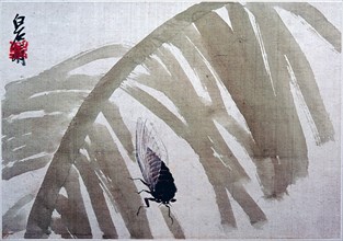 Painting by Ch'i Pai shih: 'Cicada on a Banana Tree' (sheet from a painter's album)