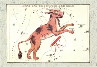 Constellation of Lynx 1825