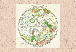 Southern Circumpolar Map 1835