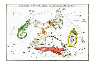 Cygnus and Adjacent Constellations 1825