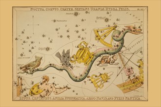 Noctua, Corvus, Crater, Sextans Uraniæ, Hydra, Felis, Lupus, Centaurus, Antlia Pneumatica, Argo Navis, and Pyxis Nautica  1825