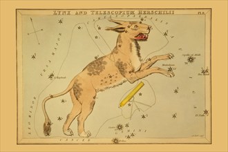 Lynx and Telescopium Herschilii 1825