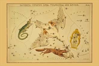 Lacerta, Cygnus, Lyra, Vulpecula and Anser 1825