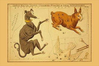 Canis Major, Lepus, Columba Noachi & Cela Sculptoris  1825