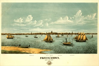 Harbor with ships at Provincetown, Massachusetts 1877 1877