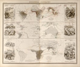 Zoological Geography; Birds of the World; Primates, Pachydrms, Marsupials & Primates 1848
