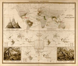 Reptiles, Serpents, Ophidia of the World 1848
