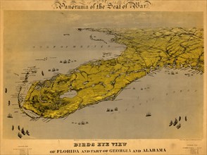 Birds eye view of Florida and part of Georgia and Alabama - 1861 1861