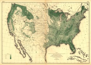 Woodlands of the United States - 1873 1873