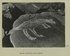 Ancient aboriginal rock carvings