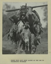 Aboriginal boy with ducks