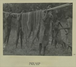 Aboriginal people holding dead snakes
