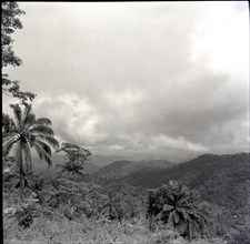 Looking towards Banyang country from Bangwa