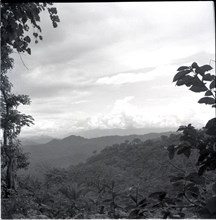 Looking towards Banyang country from Bangwa