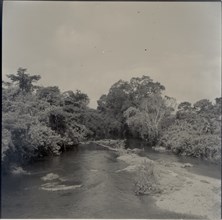 Mfu river downstream, outside Tali Rest House