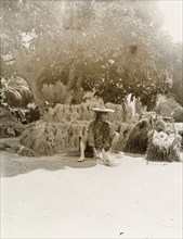 Threshing sheaves of rice by hand