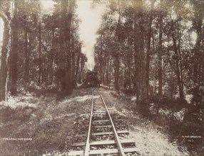 Darjeeling Hill Railway, near Sookna