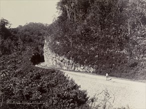 Railway track at Rubble Wall Bank, Jamaica