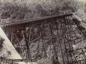 Railway viaduct near Montego Bay, Jamaica