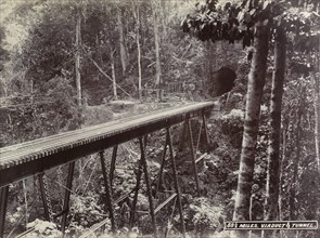 Railway viaduct and tunnel, Jamaica