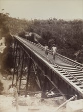 Railway viaduct, Jamaica