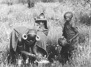 Kikuyu pyrethrum pickers