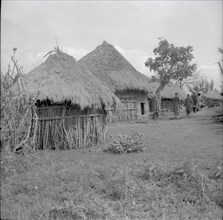 Circling the homestead