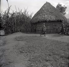 Circling the homestead