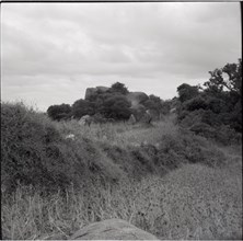 Fortifications on Renchoka hill