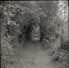 Old cattle pathway