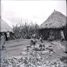 Threshing