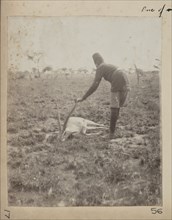 Uniformed servant with dead Thomson's gazelle