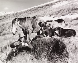Lunchtime Break for a Musterer, his horse and dogs,