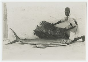 Somali man with large sailfish