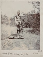 Hunted gazelle