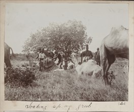 Police troops with camels