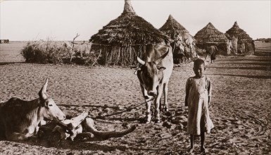 A child and 2 cows in front of conical huts at Duem