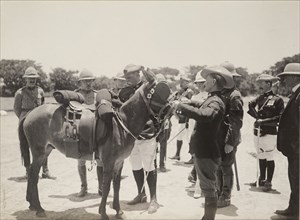 A donkey for the Duke of Connaught